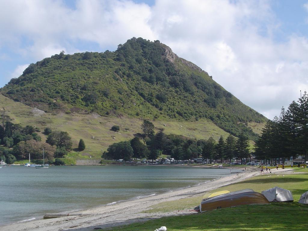 Seagulls Guesthouse Mount Maunganui Zewnętrze zdjęcie